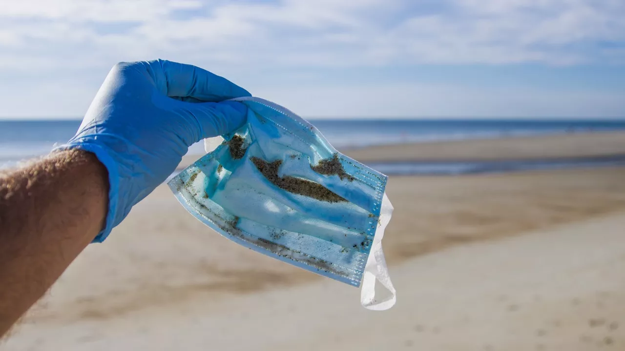 Côte-d’Azur : des poissons reviennent, les masques débarquent
