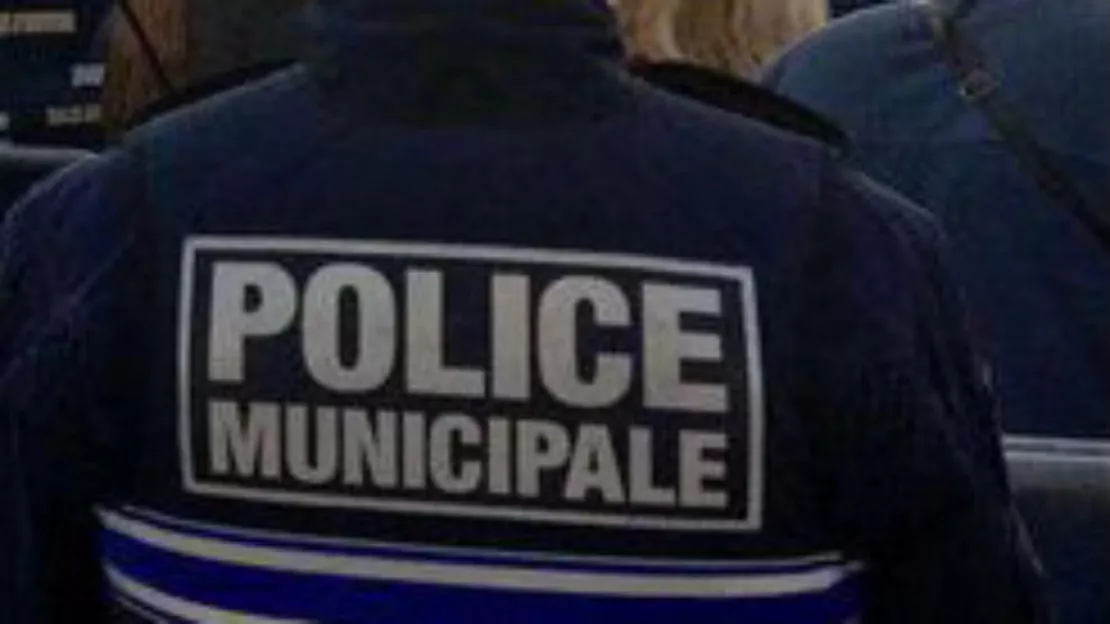 Opération anti-trafic de colis à Nice