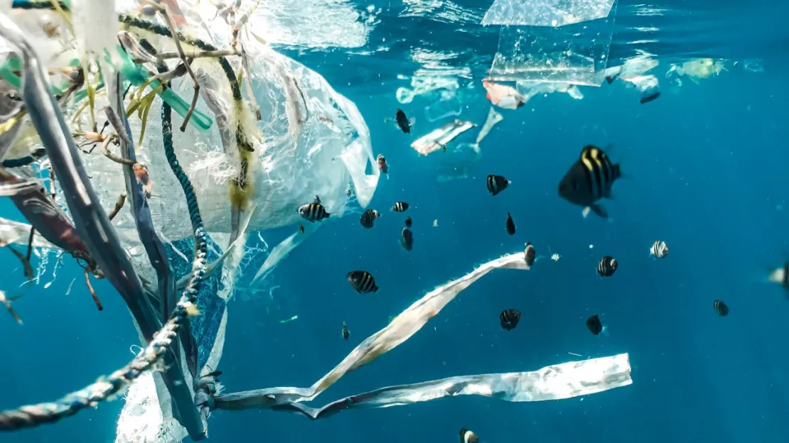 La Méditerranée polluée aux micro-plastiques ?