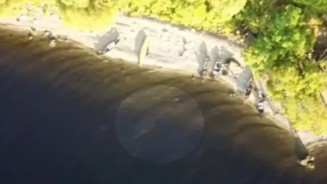 De nouvelles images viennent raviver la légende du monstre du Loch Ness ! (vidéo)