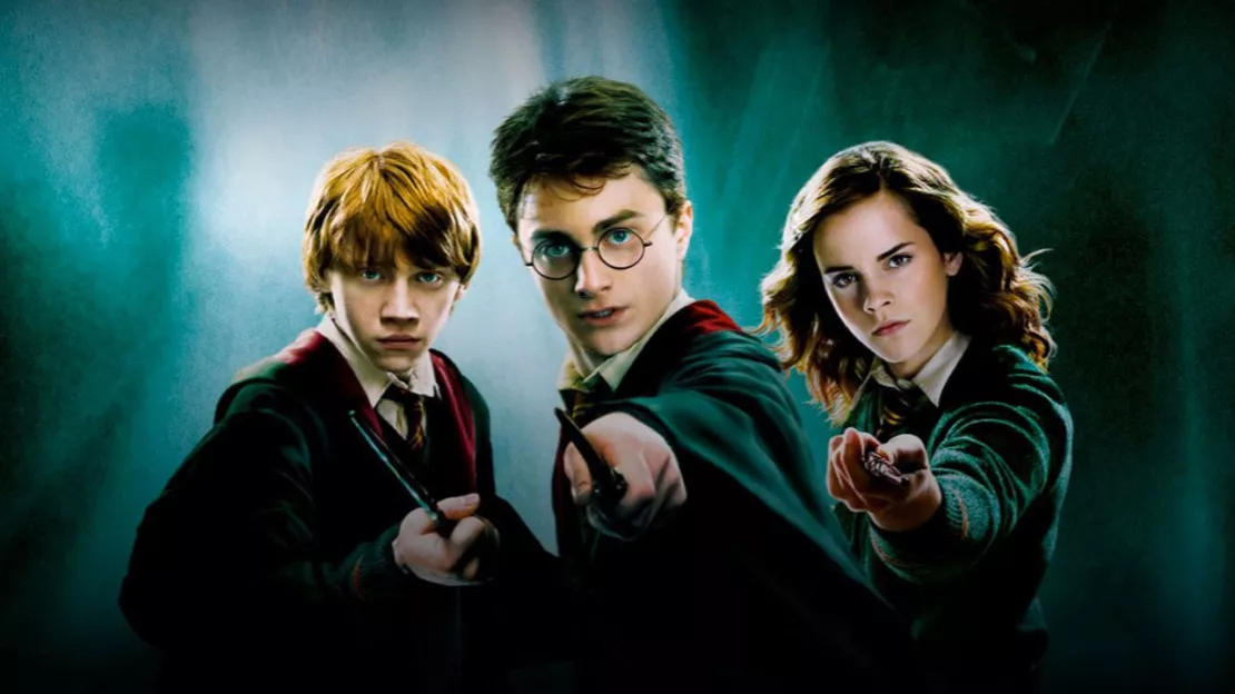 Pour les 20 ans d'Harry Potter, les acteurs de la saga se retrouvent !