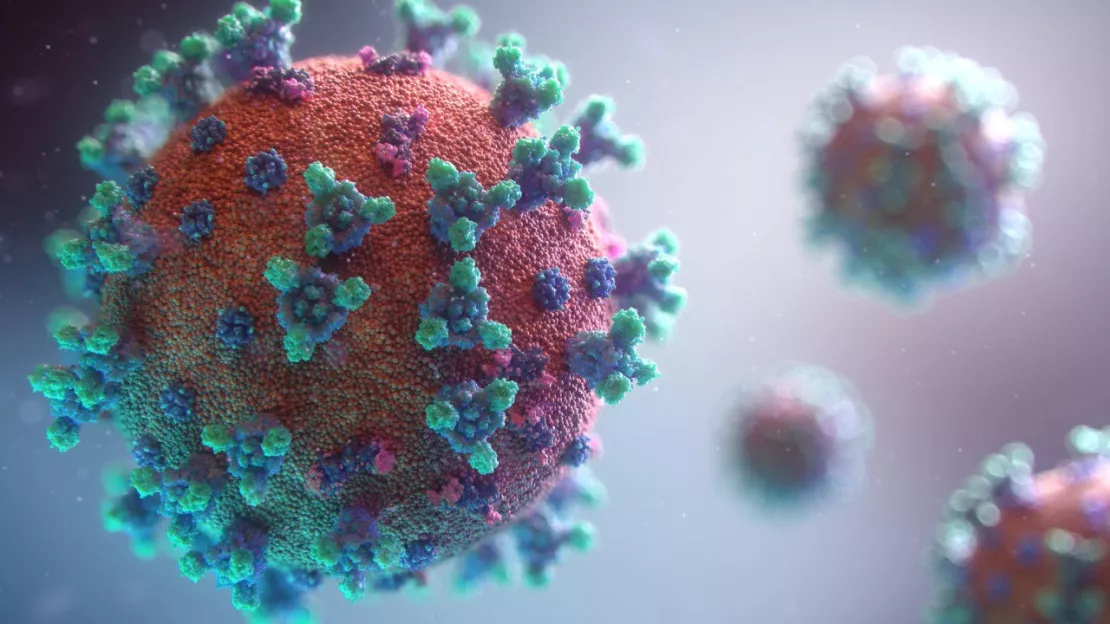 De nouveaux cas de variole du singe détectés en région Paca
