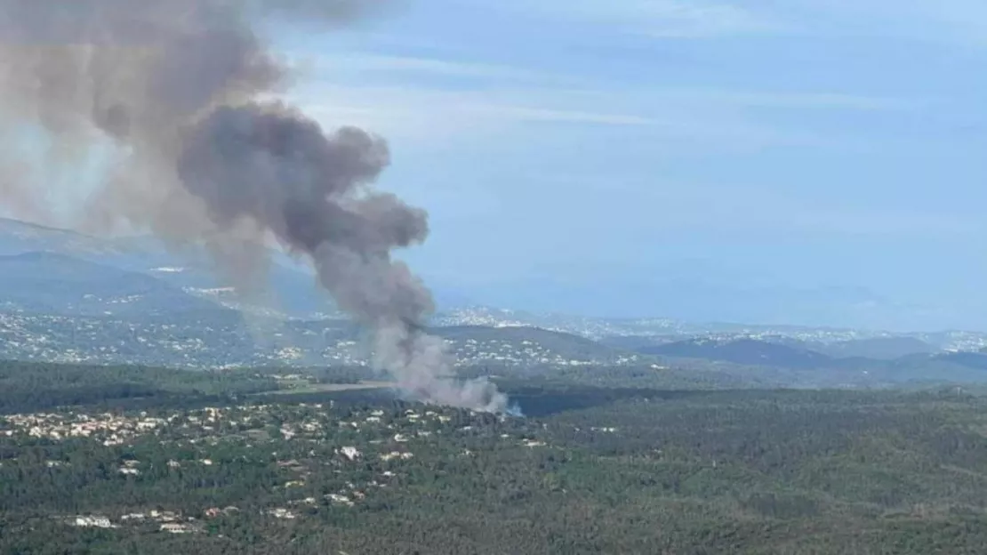Feu à Saint-Paul-en-Forêt : 5 hectares brûlés