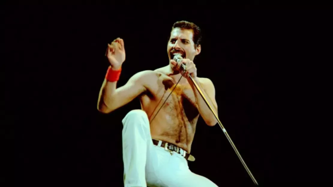 Freddie Mercury :  son amie Mary Austin met en vente son appartement de Londres