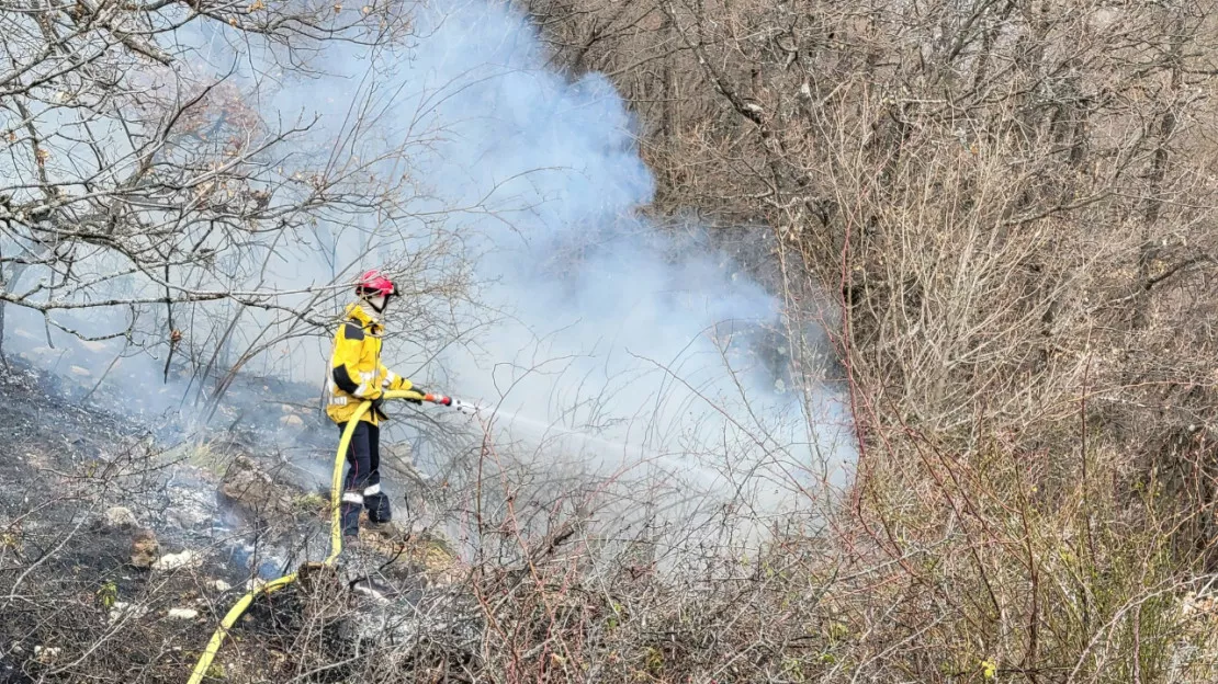 Incendies dans la vallée de la Roya : 300 hectares brûlés et une enquête ouverte