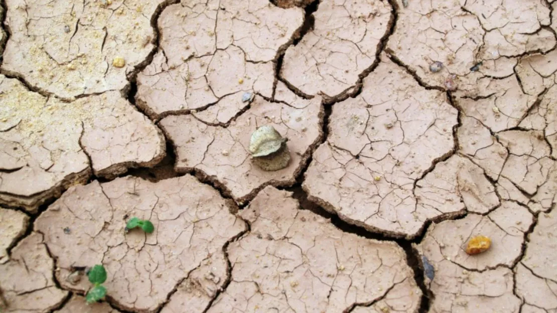 L'état de catastrophe naturelle reconnu dans plusieurs communes des Alpes Maritimes