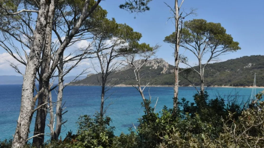 L'Ile de Porquerolles enfin raccordée à l'eau potable grâce au projet Sealine