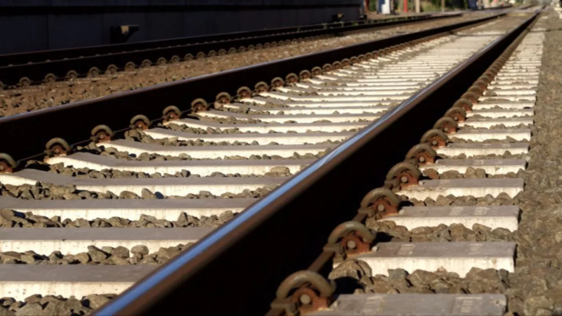 Le trafic ferroviaire perturbé ce week-end : les contrôleurs font grève