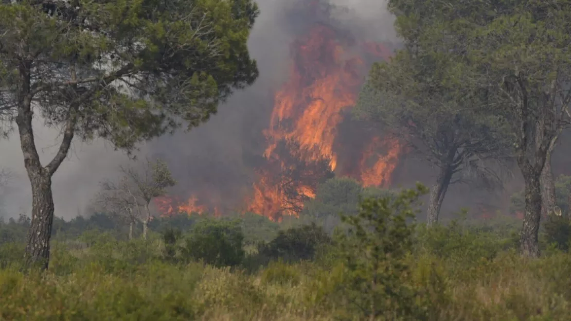 Les incendies se multiplient dans le Var