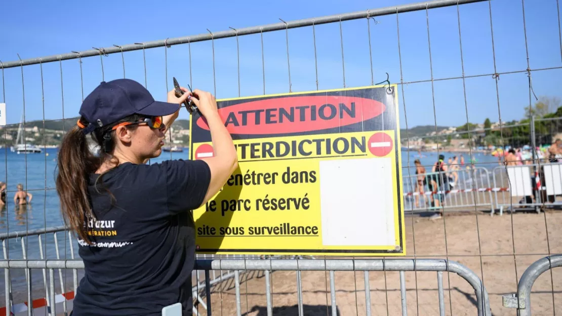 Saint-Raphaël : la ville privatise une plage pour une tortue