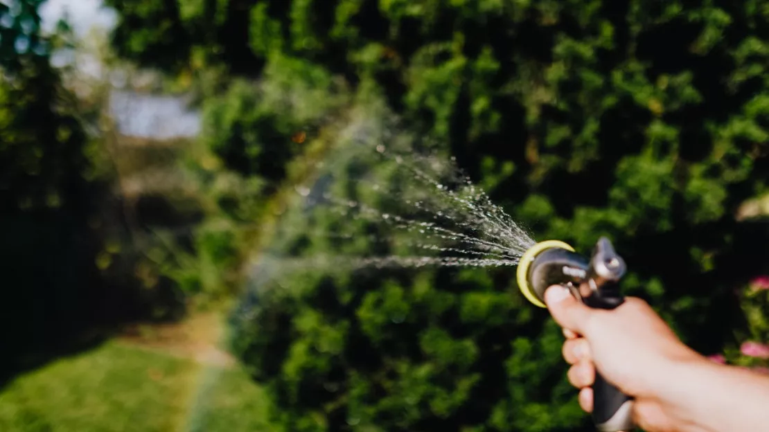 Sécheresse : les entreprises de l’eau appellent à la sobriété en Paca