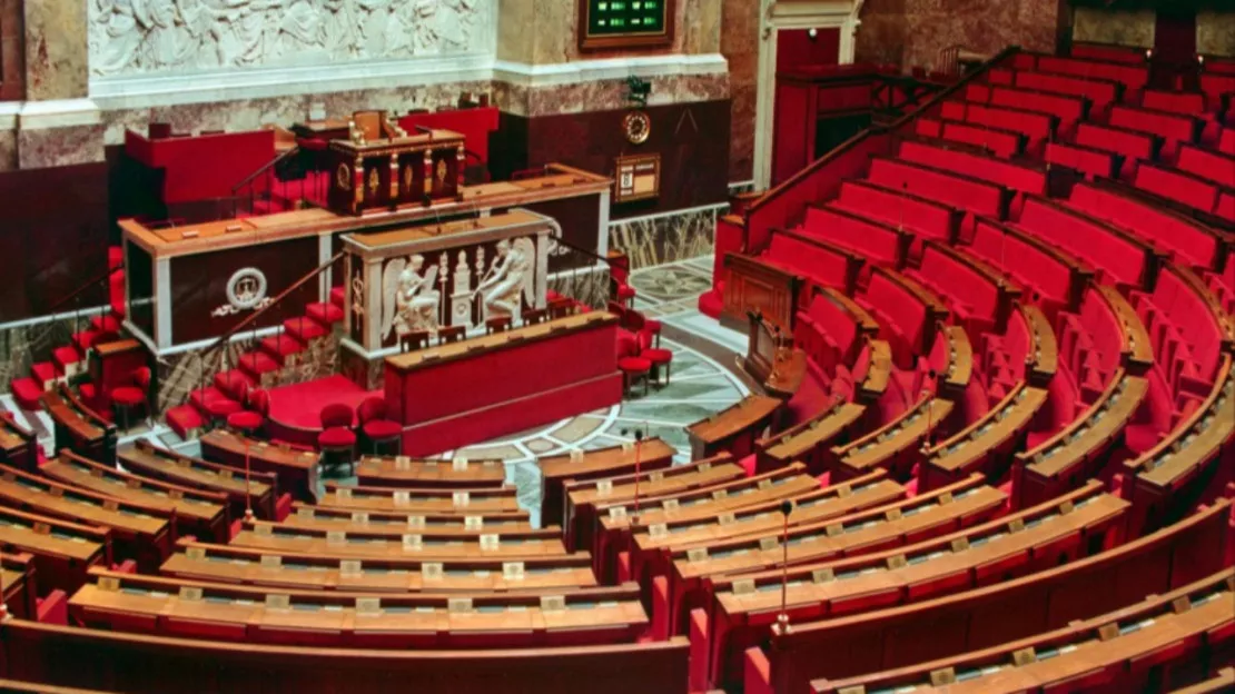 Un député brandit le drapeau de la Palestine en pleine Assemblée Nationale