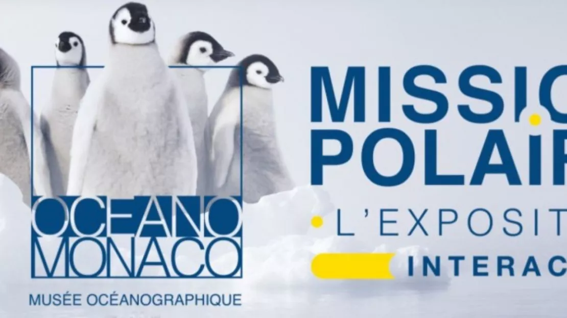 Une exposition pour sensibiliser à la préservation des pôles