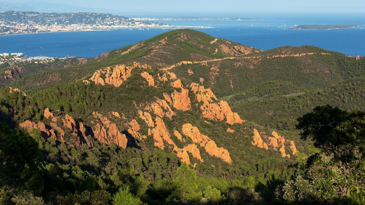 Alpes-Maritimes : vigilance rouge feu de forêt ce vendredi Alpes-Maritimes : vigilance rouge feu de forêt ce vendredi