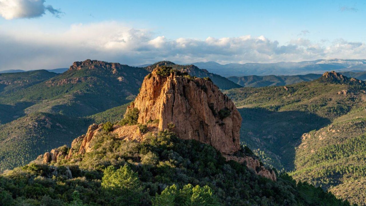 Feux de forêt : l’Esterel et le Tanneron toujours interdits ce mardi Feux de forêt : l’Esterel et le Tanneron toujours interdits ce mardi