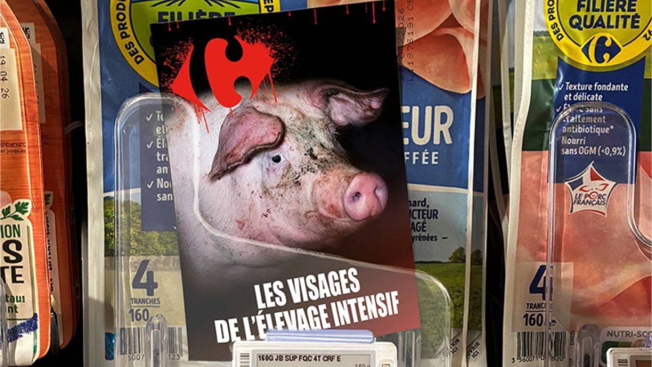 L214 interpelle Carrefour &agrave; Nice sur l&rsquo;&eacute;levage intensif