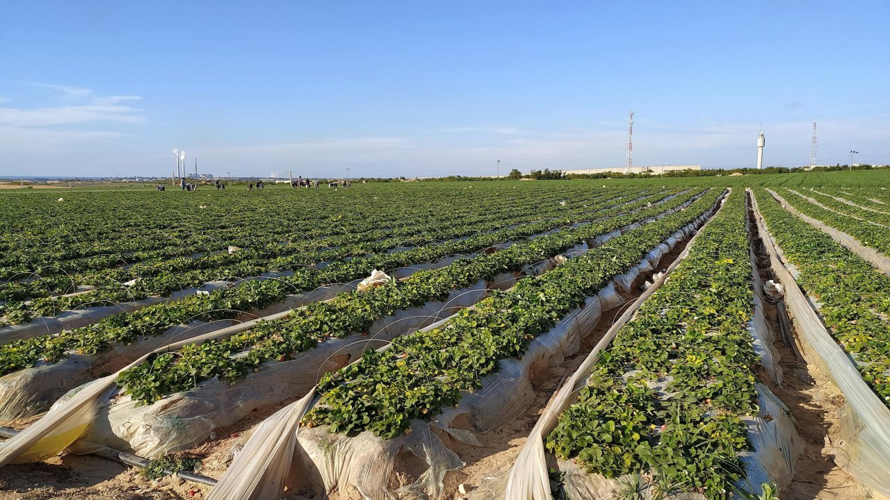 Nice : un bilan environnemental contrast&eacute; &agrave; l&rsquo;approche des municipales