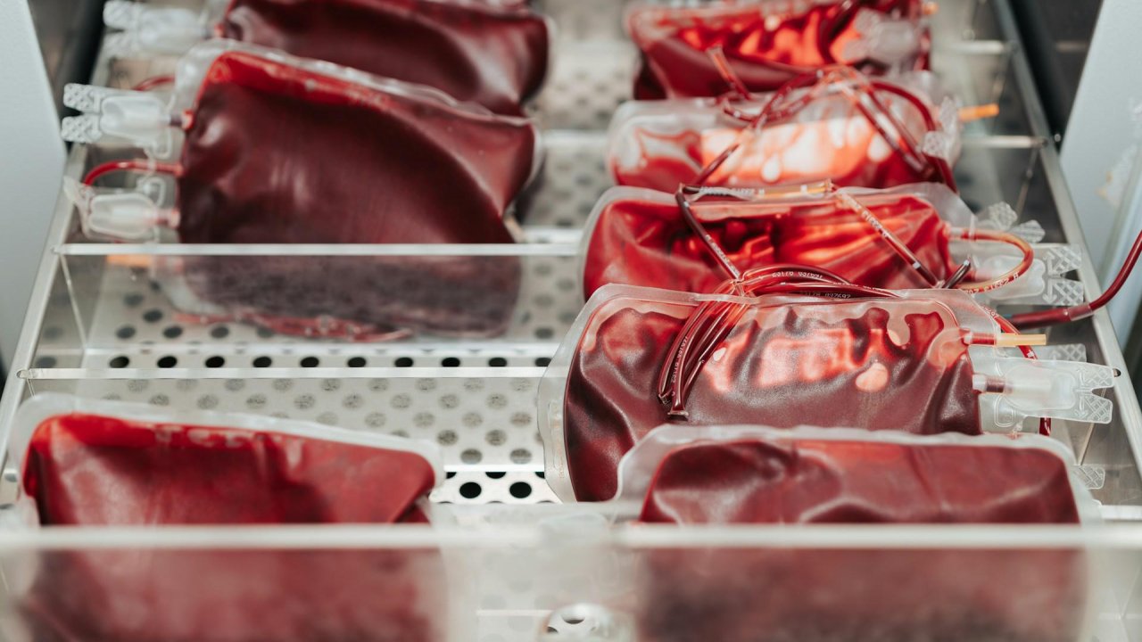 Sang Rouge et Noir : le Gym mobilisé place Masséna