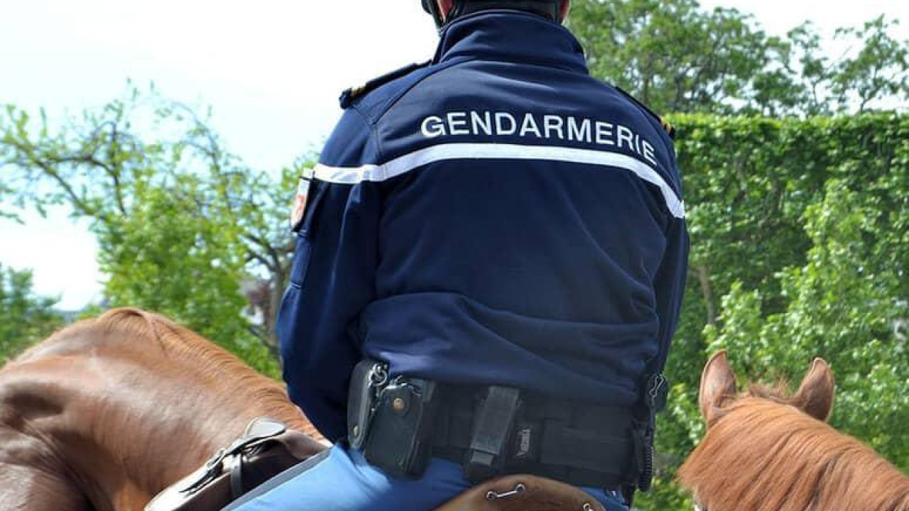 Une brigade équestre permanente bientôt dans les Alpes-Maritimes