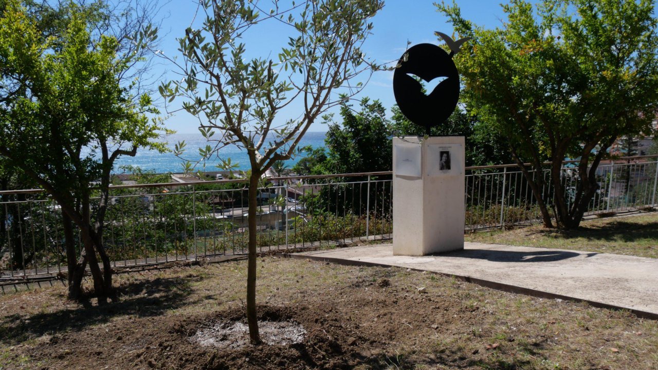 Vandalisme à Menton : l’olivier en hommage à Ilan Halimi a été arraché