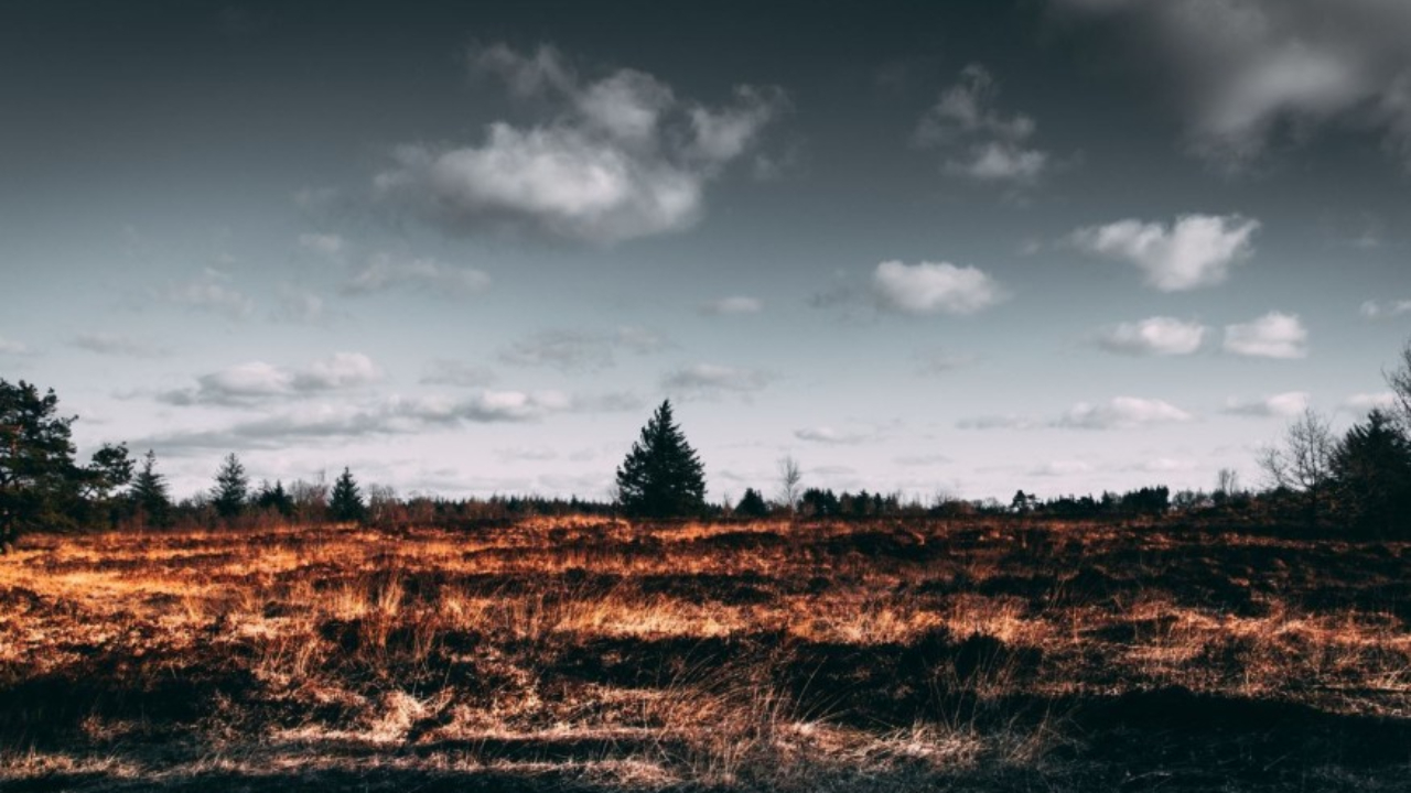 6 millions d’euros pour lutter contre les feux de forêts dans la région 6 millions d’euros pour lutter contre les feux de forêts dans la région
