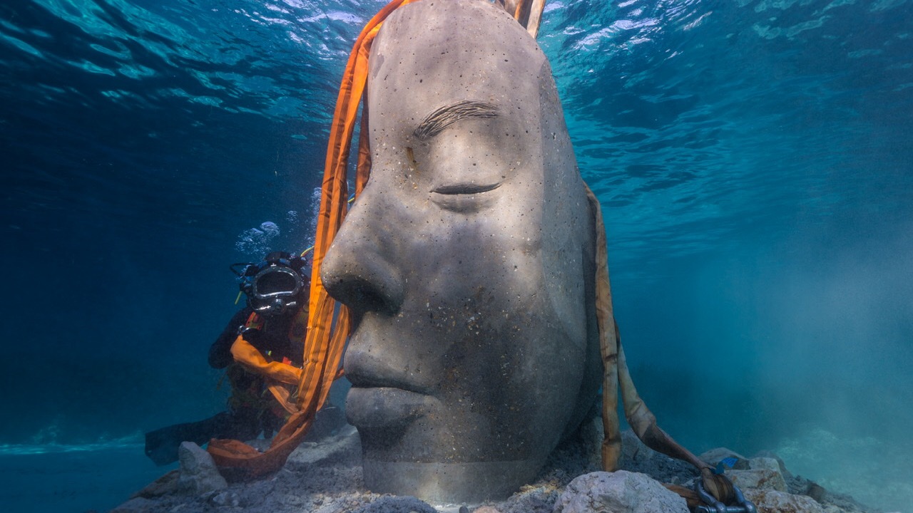 Des visages de Cannois en t&ecirc;te-&agrave;-t&ecirc;te avec les poissons !