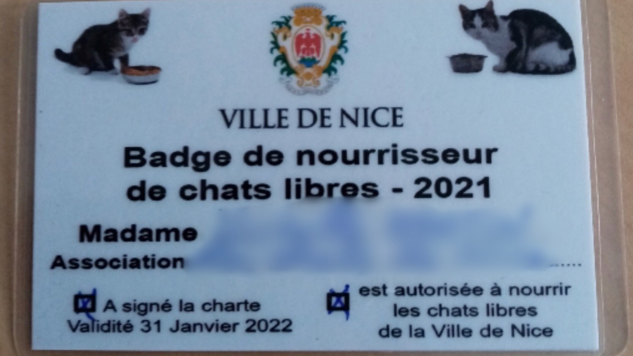 A Nice, les nourrisseurs de chats errants ont leur carte officielle ! A Nice, les nourrisseurs de chats errants ont leur carte officielle !