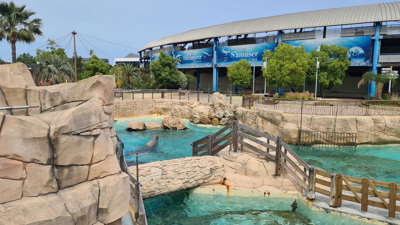 Les anti-Marineland&nbsp;se mobilisent &agrave; Antibes