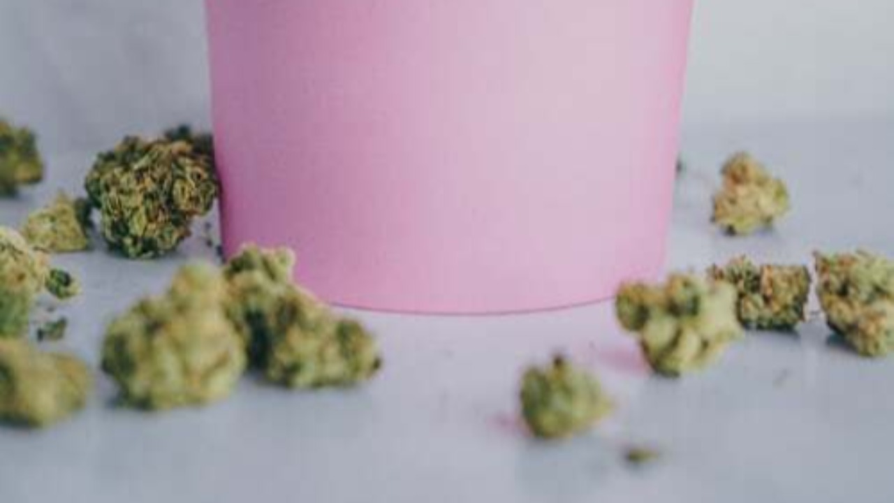 La vente de fleurs de CBD bientôt  à nouveau autorisée à Nice ?