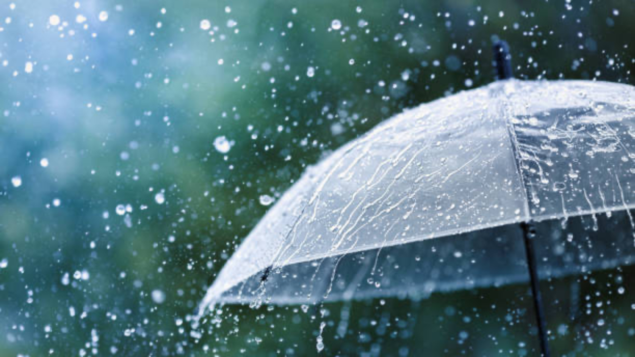 Alpes-Maritimes : jusqu'à 80 mm de pluie localement ce mercredi Alpes-Maritimes : jusqu'à 80 mm de pluie localement ce mercredi