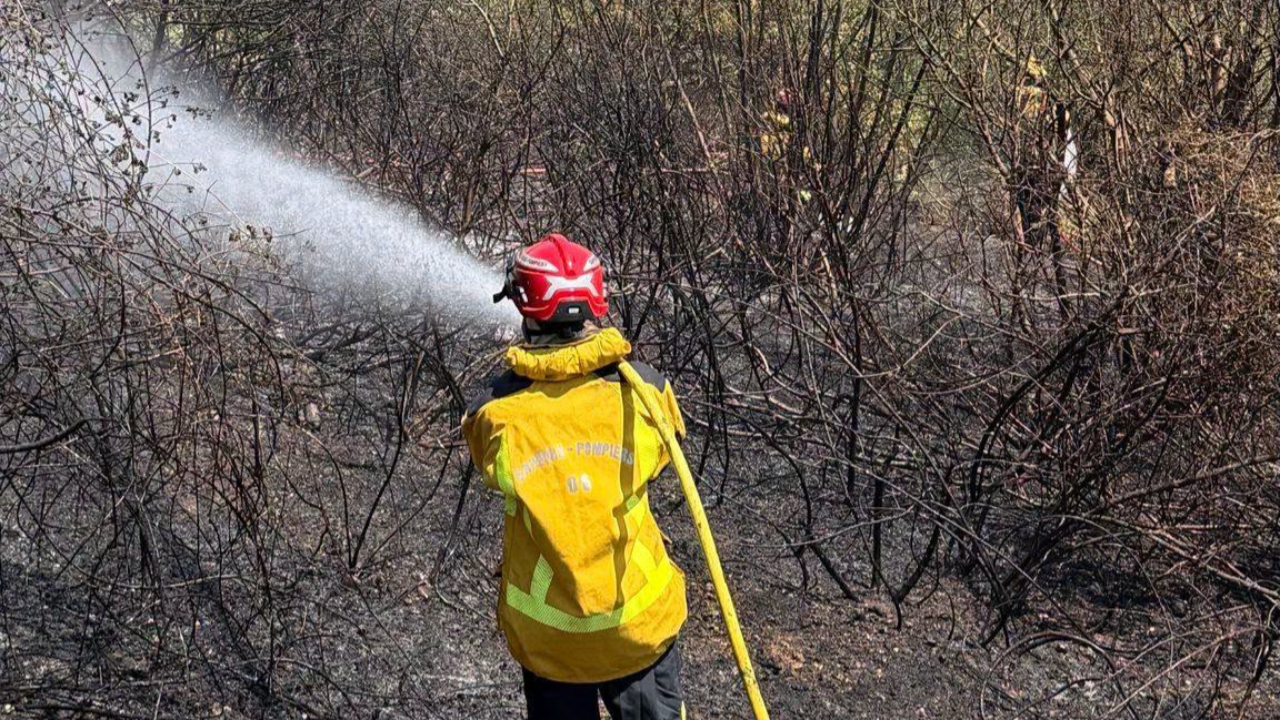 Alpes-Maritimes : un incendie détruit un entrepôt à Saint-Laurent-du-Var Alpes-Maritimes : un incendie détruit un entrepôt à Saint-Laurent-du-Var
