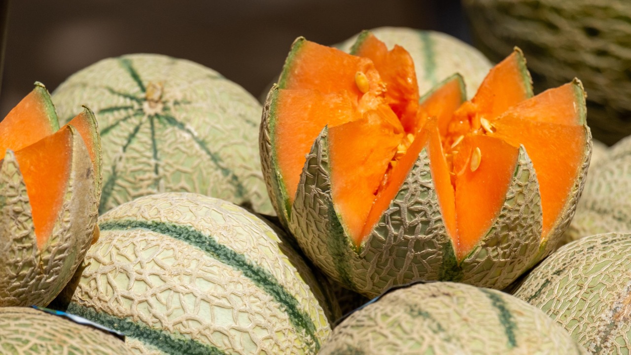 Chaleur : les conseils des maraichers niçois pour bien choisir ses légumes