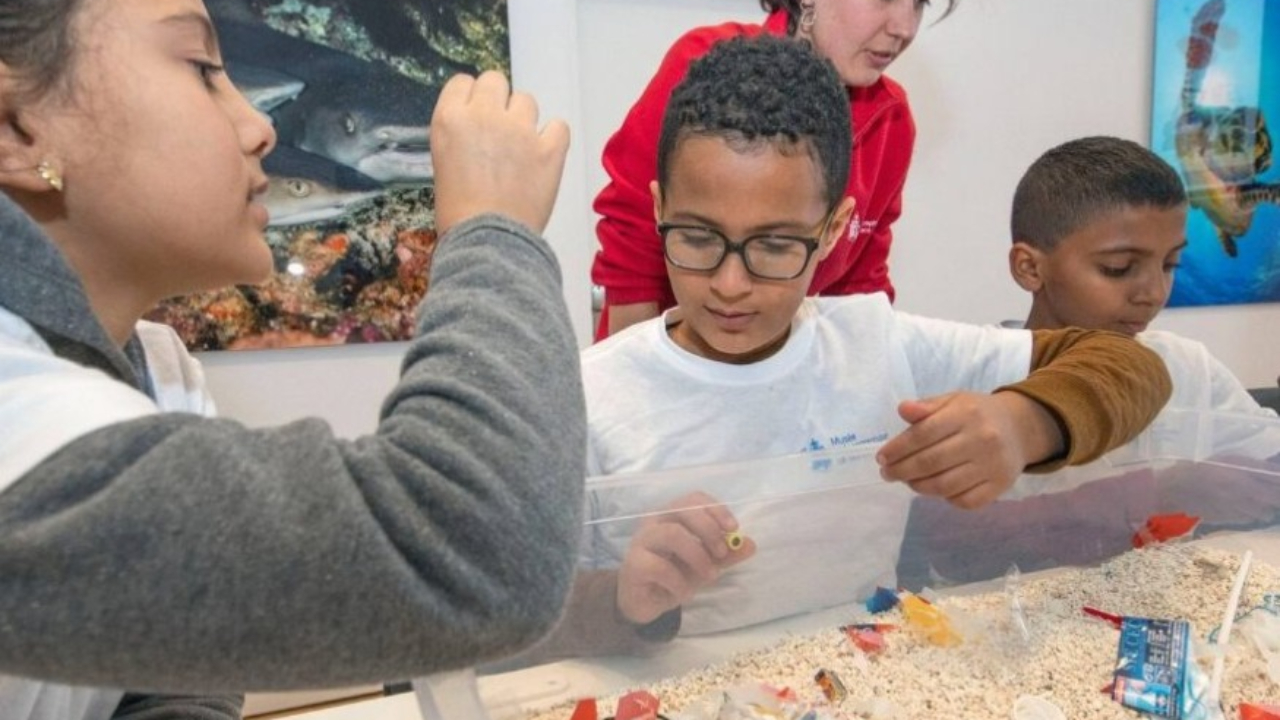 Des collégiens au chevet des océans Des collégiens au chevet des océans