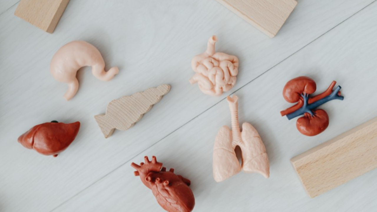 Journée nationale du don d'organes : faites part de votre choix Journée nationale du don d'organes : faites part de votre choix