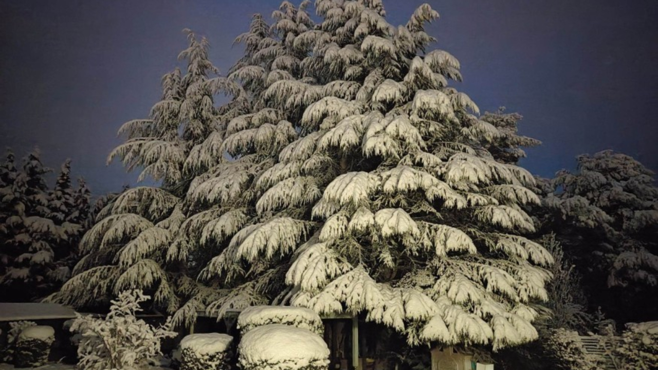 Jusqu'&agrave; 15 cm de neige en Provence et sur les massifs