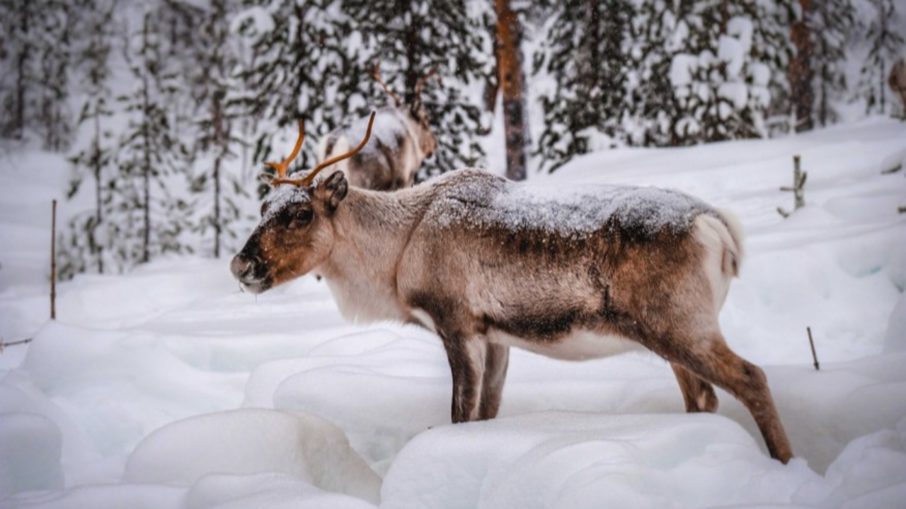 La C&ocirc;te d&rsquo;Azur se rapproche du Canada !