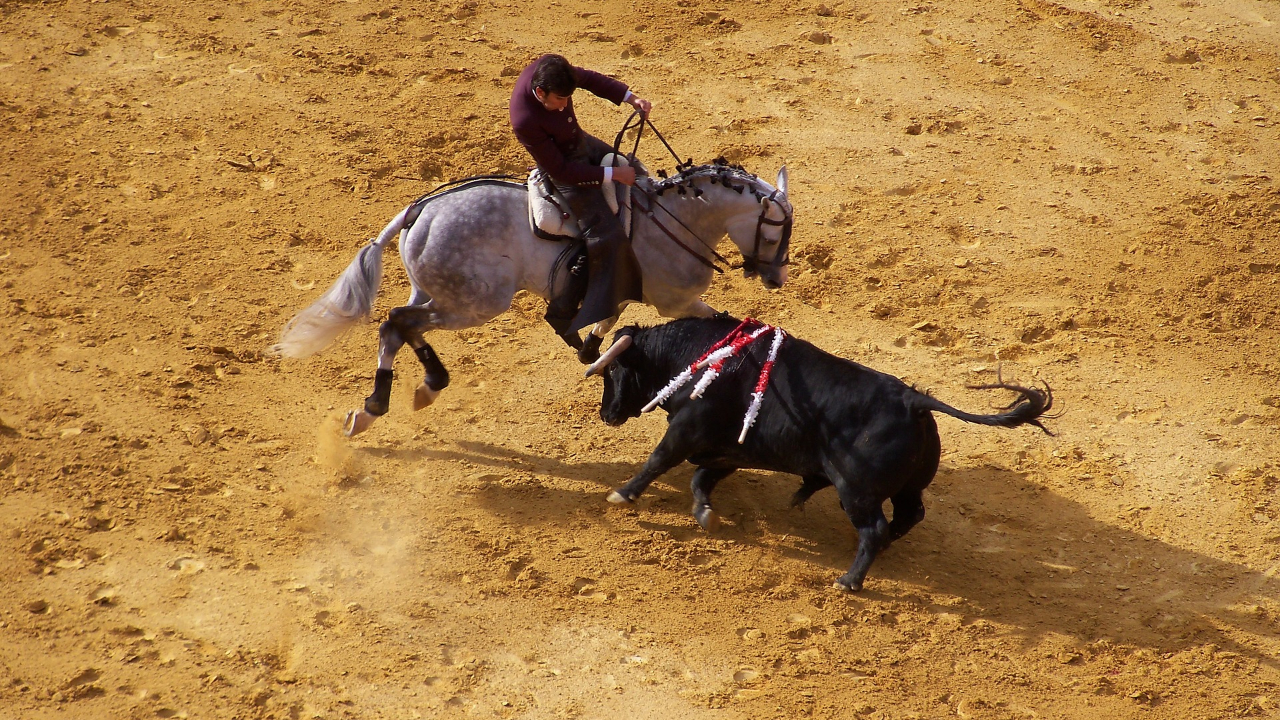 La fin de la corrida en France ?