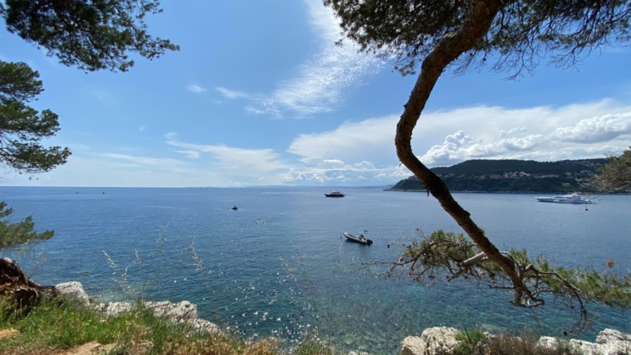 La temp&eacute;rature de la M&eacute;diterran&eacute;e en chute libre