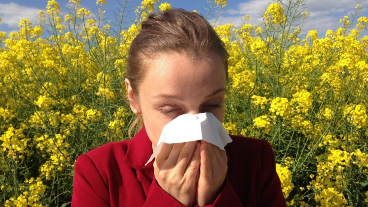 Le pollen est de retour dans la région Le pollen est de retour dans la région