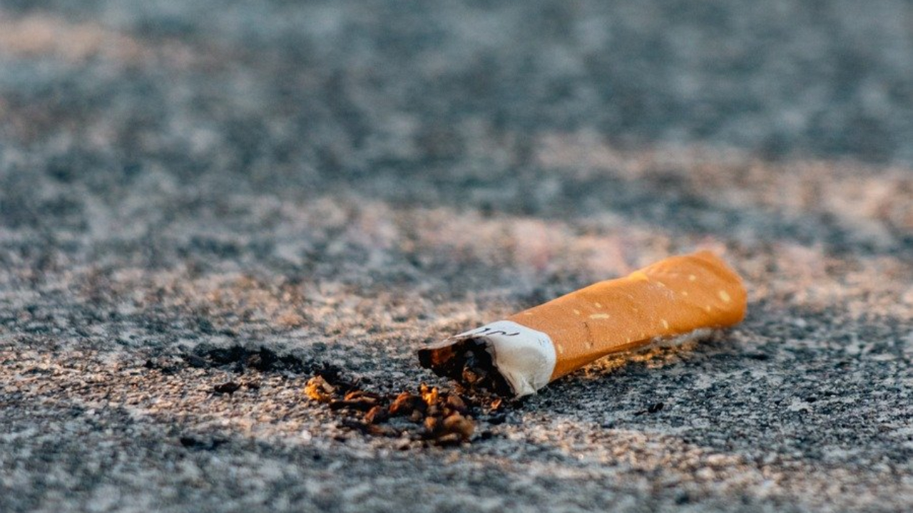 Les fumeurs sont les plus nombreux...en r&eacute;gion PACA