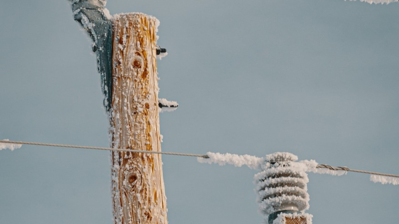 Les professionnels craignent les coupures d’électricité Les professionnels craignent les coupures d’électricité