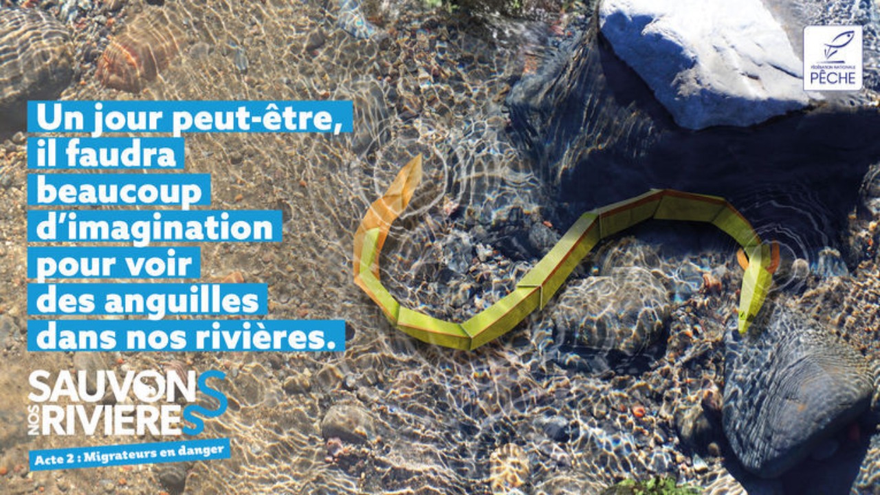 Les rivières azuréennes désertées par les poissons migrateurs Les rivières azuréennes désertées par les poissons migrateurs