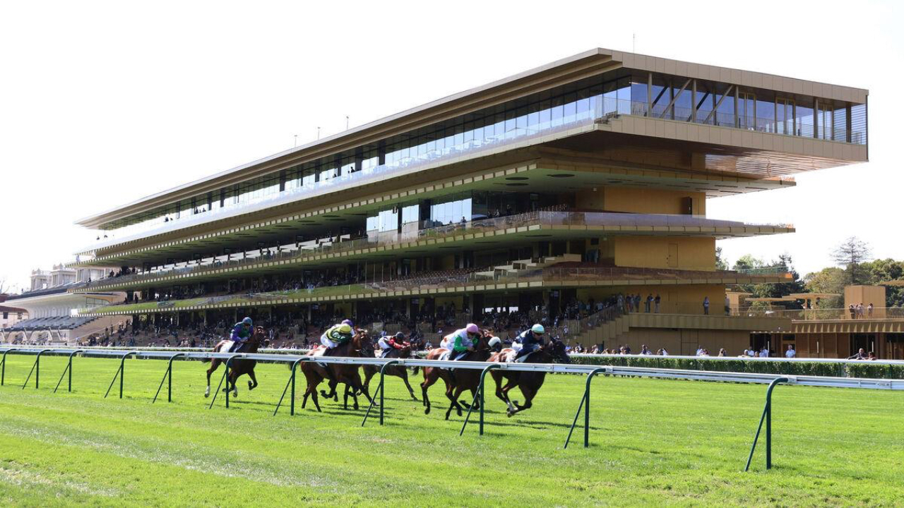 P&eacute;gomas : il remporte plus de 155 000 euros au Quint&eacute;+