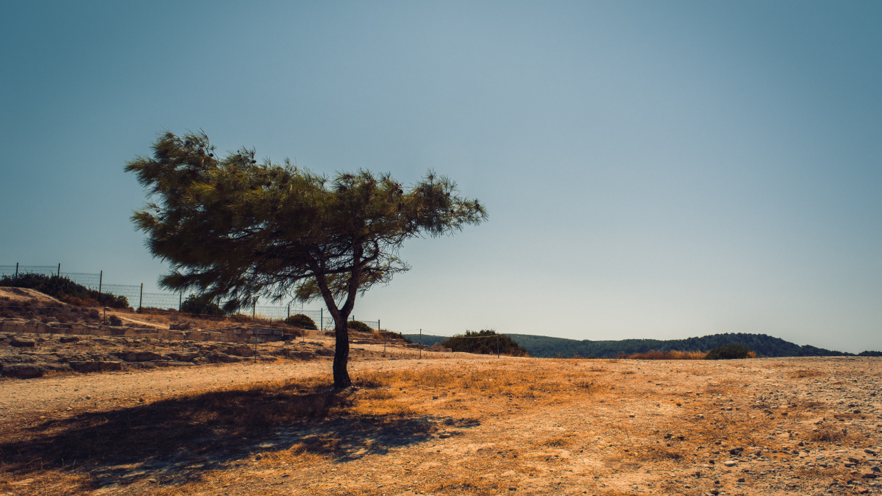 Record historique de sécheresse dans les Alpes Maritimes Record historique de sécheresse dans les Alpes Maritimes
