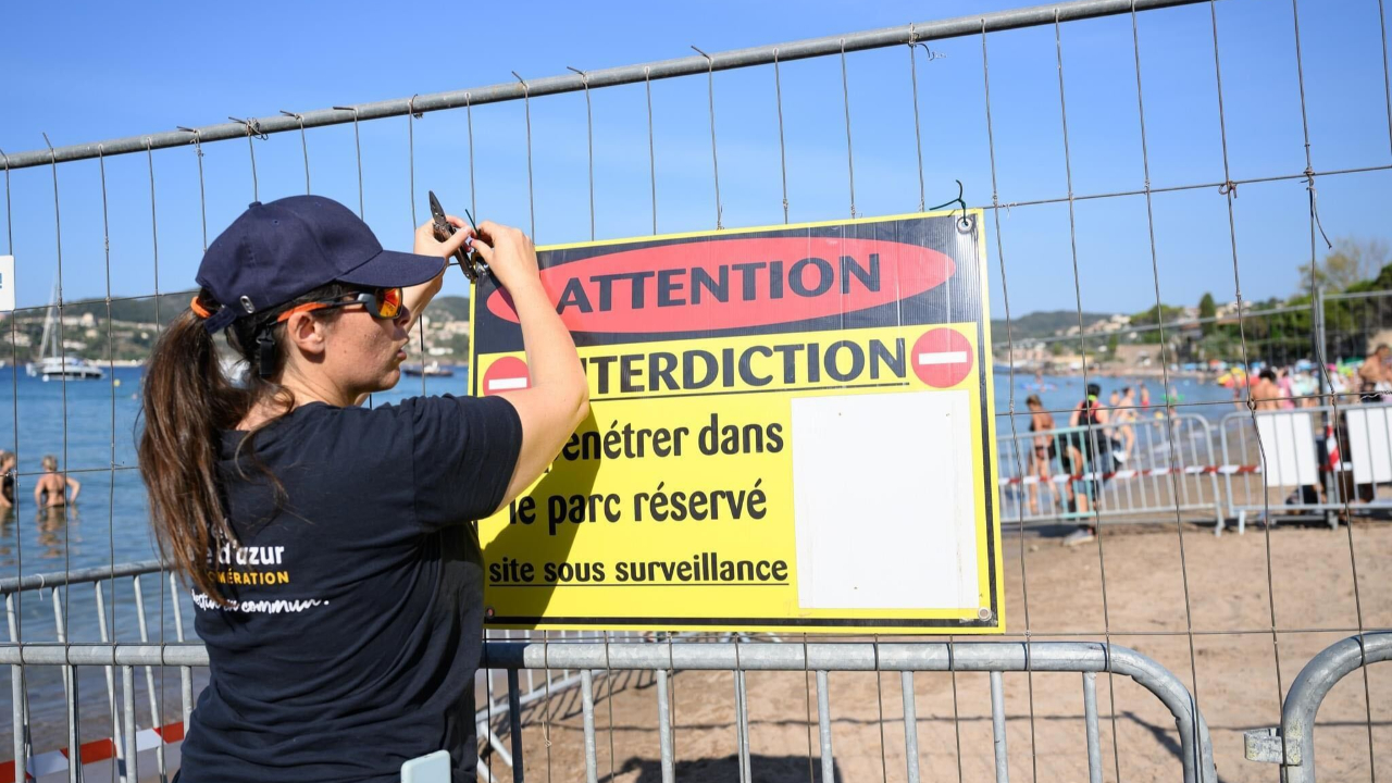 Saint-Raphaël : la ville privatise une plage pour une tortue Saint-Raphaël : la ville privatise une plage pour une tortue
