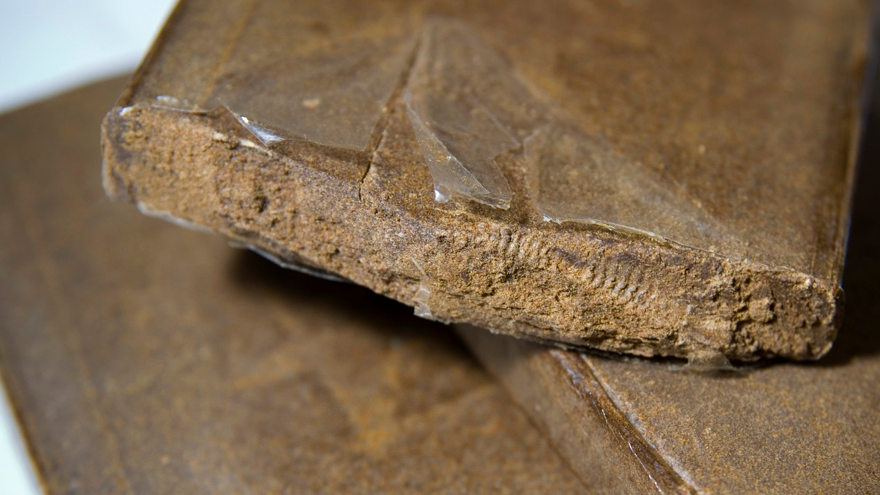 “Ubershit” à Nice : démantèlement d’un réseau de drogue, plus de 70 kilos de cannabis saisis