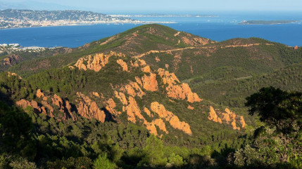 Alpes-Maritimes : vigilance rouge feu de forêt ce vendredi