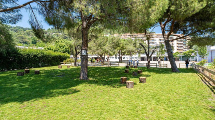 Avant la rentrée, les écoles niçoises se transforment pour affronter la chaleur Avant la rentrée, les écoles niçoises se transforment pour affronter la chaleur