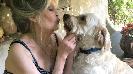 Brigitte Bardot : l'attribution du nom de l'actrice &agrave; un lieu embl&eacute;matique de Nice fait r&eacute;agir