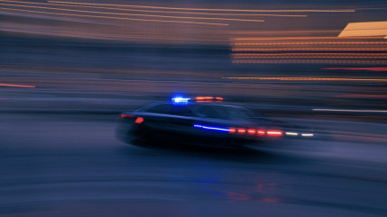 La d&eacute;linquance du quotidien en recul dans les Alpes-Maritimes